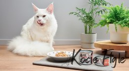 John Dog for Cats - Filety Łosoś z jajkami - 140g