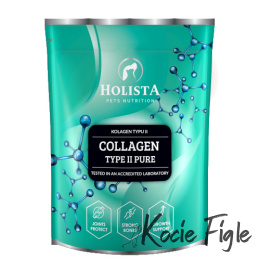 Holista - Collagen Type II Pure (Kolagen) - 600g