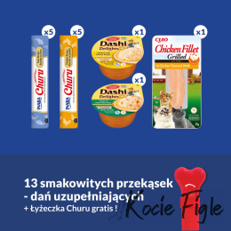 Inaba - Box Churu Ciao - GiftBox z łyżeczką