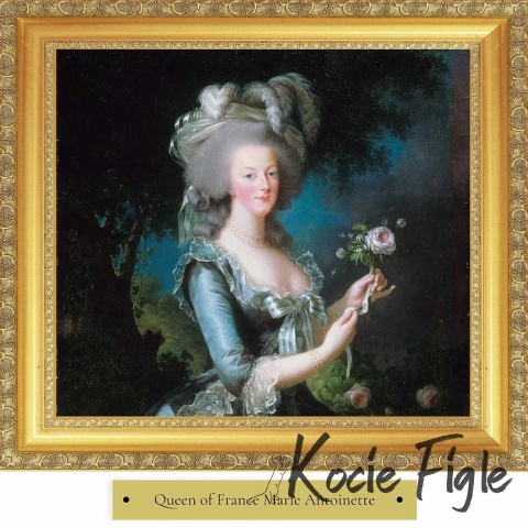 77 Pet Food - Antoinette z królikiem - 200g