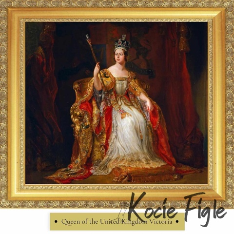 77 Pet Food - Victoria z indykiem - 200g