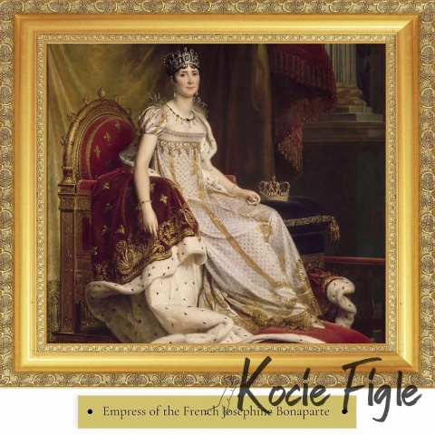 77 Pet Food - Josephine z gęsią - 200g