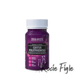 Holista - Cistus Polyphenols (Ekstrakt z czystka) - 90 tabletek