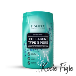 Holista - Collagen Type II Pure (Kolagen) - 200g