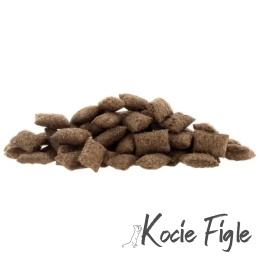 Lucky Lou - Krunchy Krisps - Kurczak i Łosoś - 60g