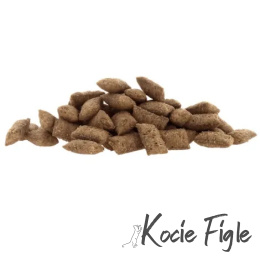 Lucky Lou - Krunchy Krisps - Kurczak - 60g