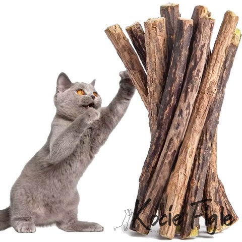 NUXIE® - Patyczki z matatabi - 5 szt