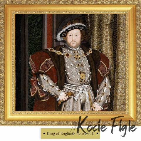 77 Pet Food - Henry VIII Stripes z suszonej kaczki - 80g