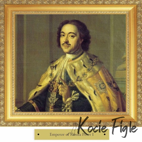 77 Pet Food - Peter I Stripes z suszonego królika - 80g