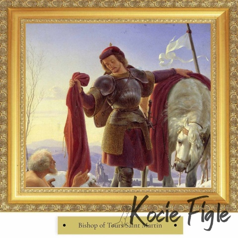 77 Pet Food - Saint Martin Stripes z suszonej gęsiny - 80g