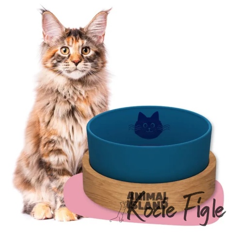 Animal Island - Miska na wodę dla kota - Niebieska