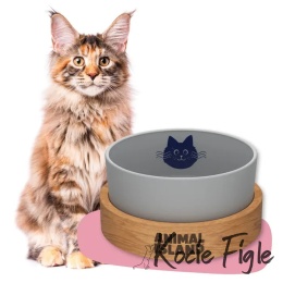 Animal Island - Miska na wodę dla kota - Szara