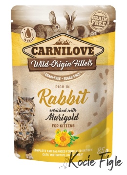 Carnilove - Junior - Królik - 85g