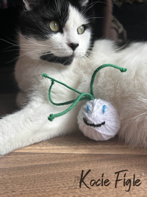 Kocie Figle - Kocia cebula z kocimiętką
