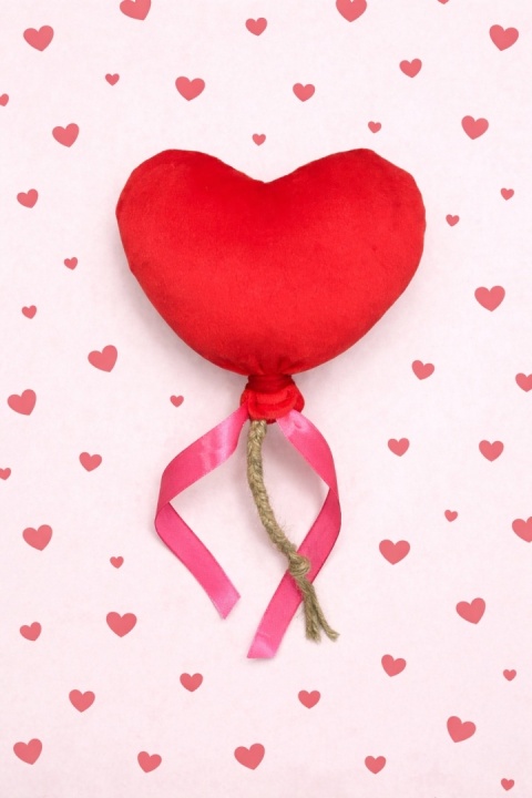 Kocie Figle - Walentynkowe Serce z kocimiętką