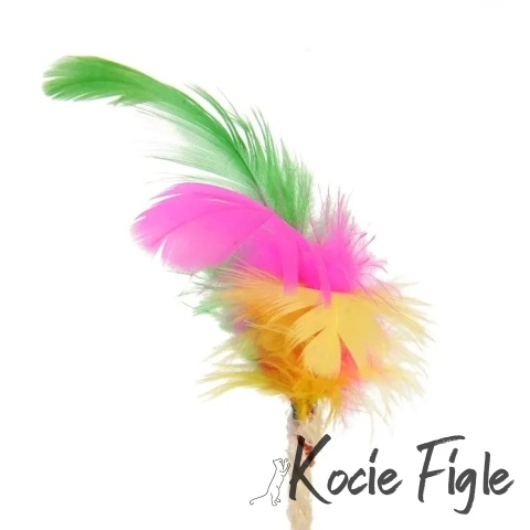 NUXIE® - Piłka z piórkami