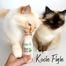 SmoothieCat - Smoothie dla kota o smaku królika - 150 ml