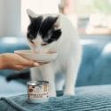 PERROLand Soups Bulion z Filetem z Kaczki 140 g - karma uzupełniająca dla kota w puszce - zupa