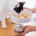 PERROLand Soups Bulion z Filetem z Łososia 140 g - zupa dla kota z kawałkami ryby - kot