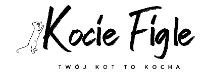 Kocie Figle