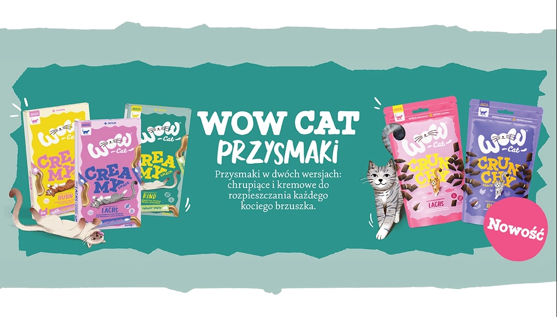 wow_cat_banner_przysmak_goodres2